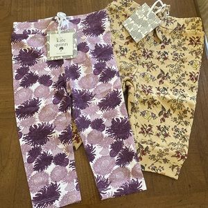 Kate Quinn 6-18 months Baby girl NWT leggings